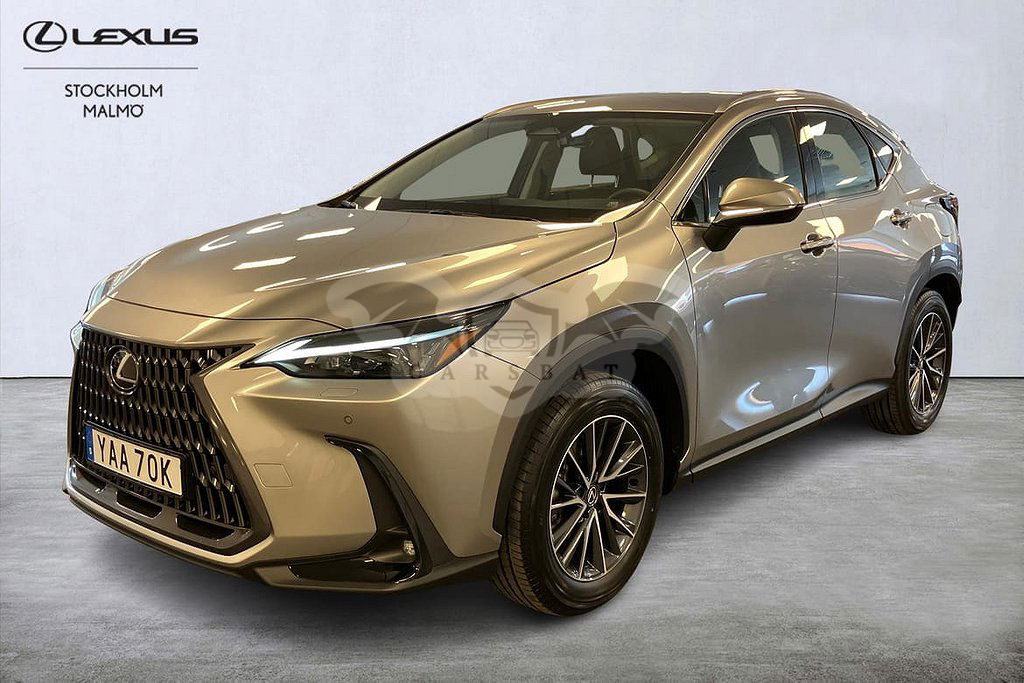 Lexus NX 2024