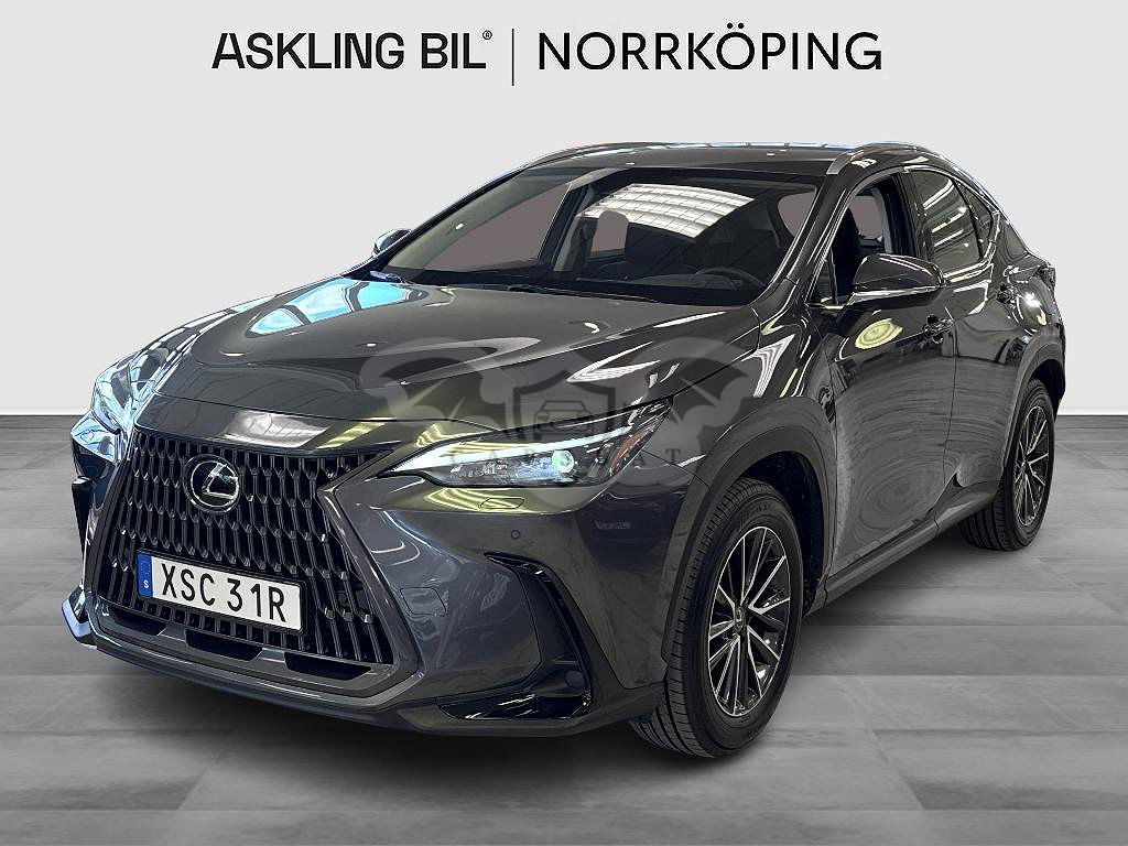 Lexus NX 2024
