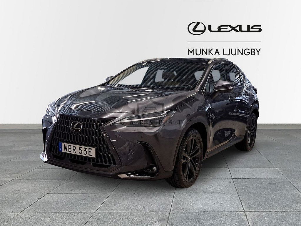 Lexus NX 2024