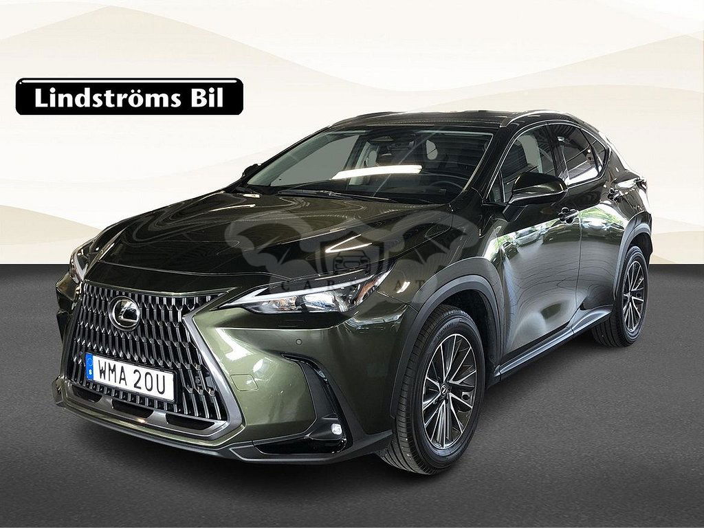 Lexus NX 2024