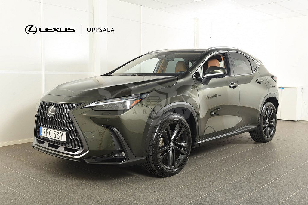 Lexus NX 2024
