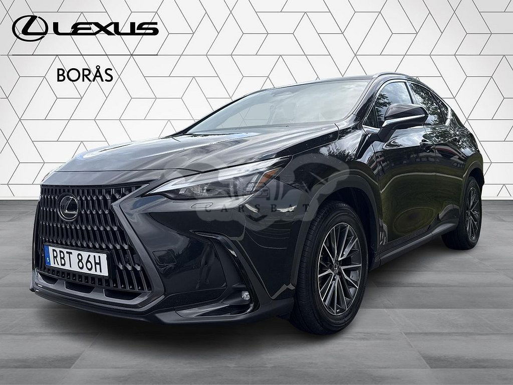 Lexus NX 2024