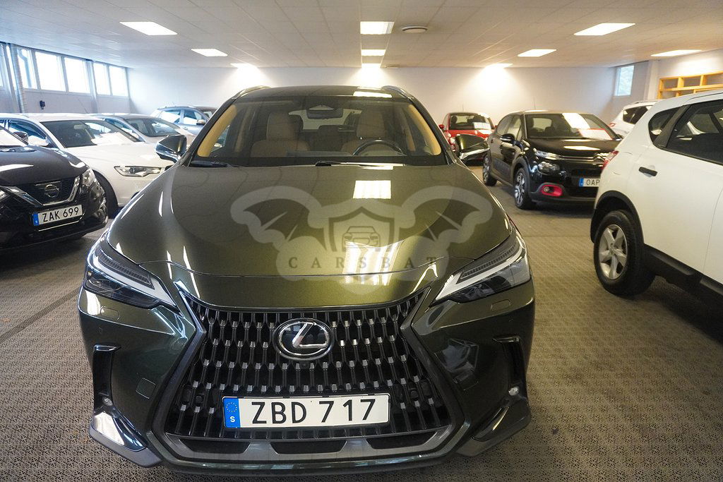 Lexus NX 2023