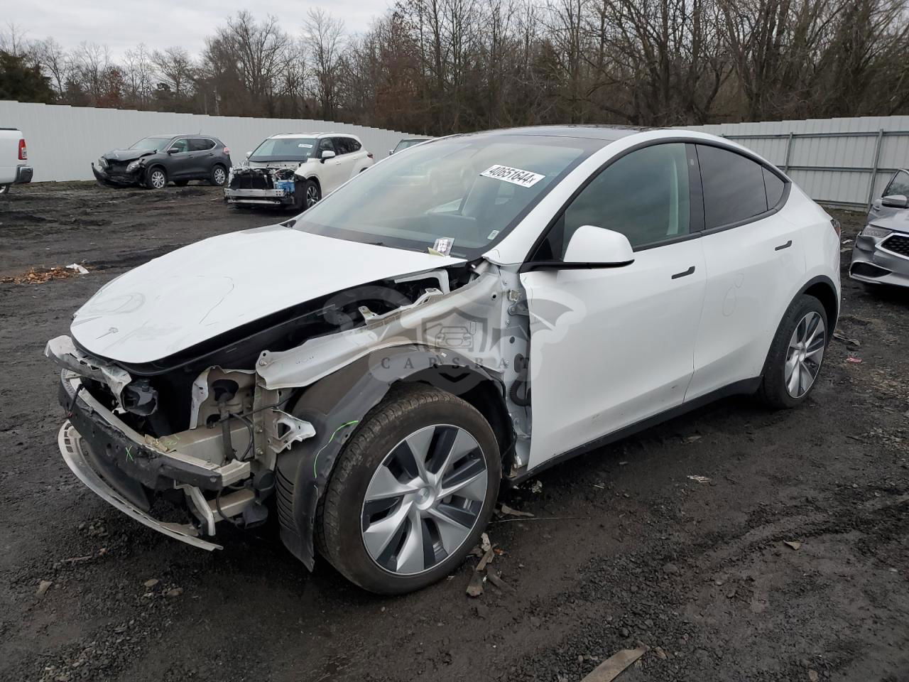 Tesla Model Y 2021