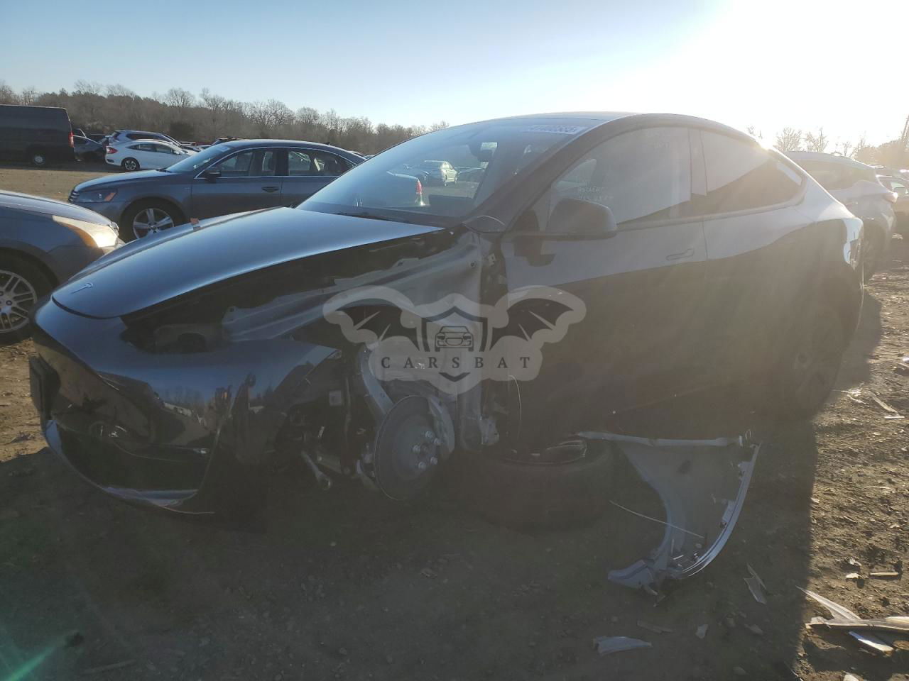 Tesla Model Y 2024