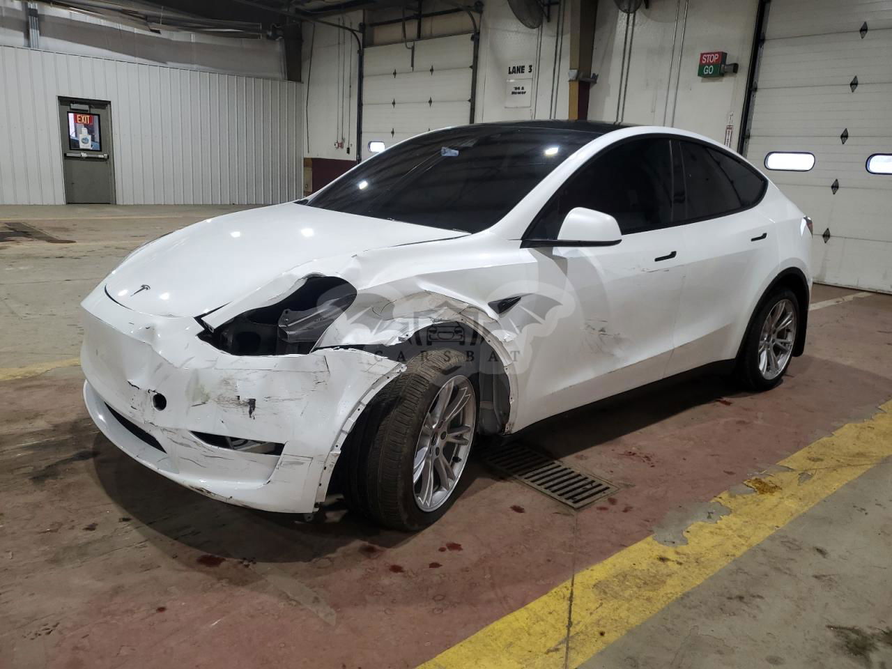 Tesla Model Y 2024