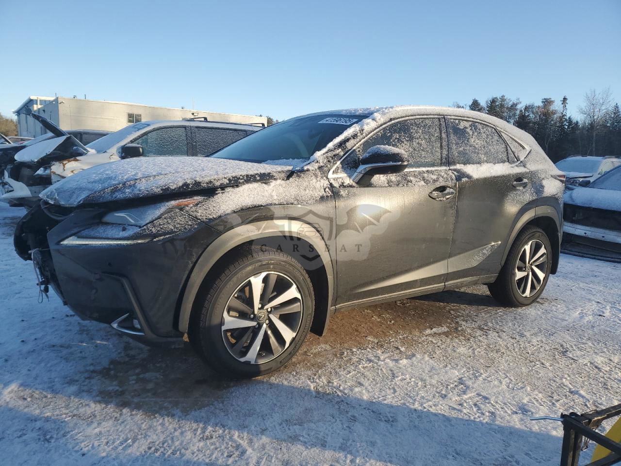 Lexus NX 300 LUXURY 2.0L  4 2020
