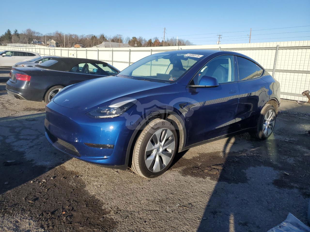 Tesla Model Y 2024