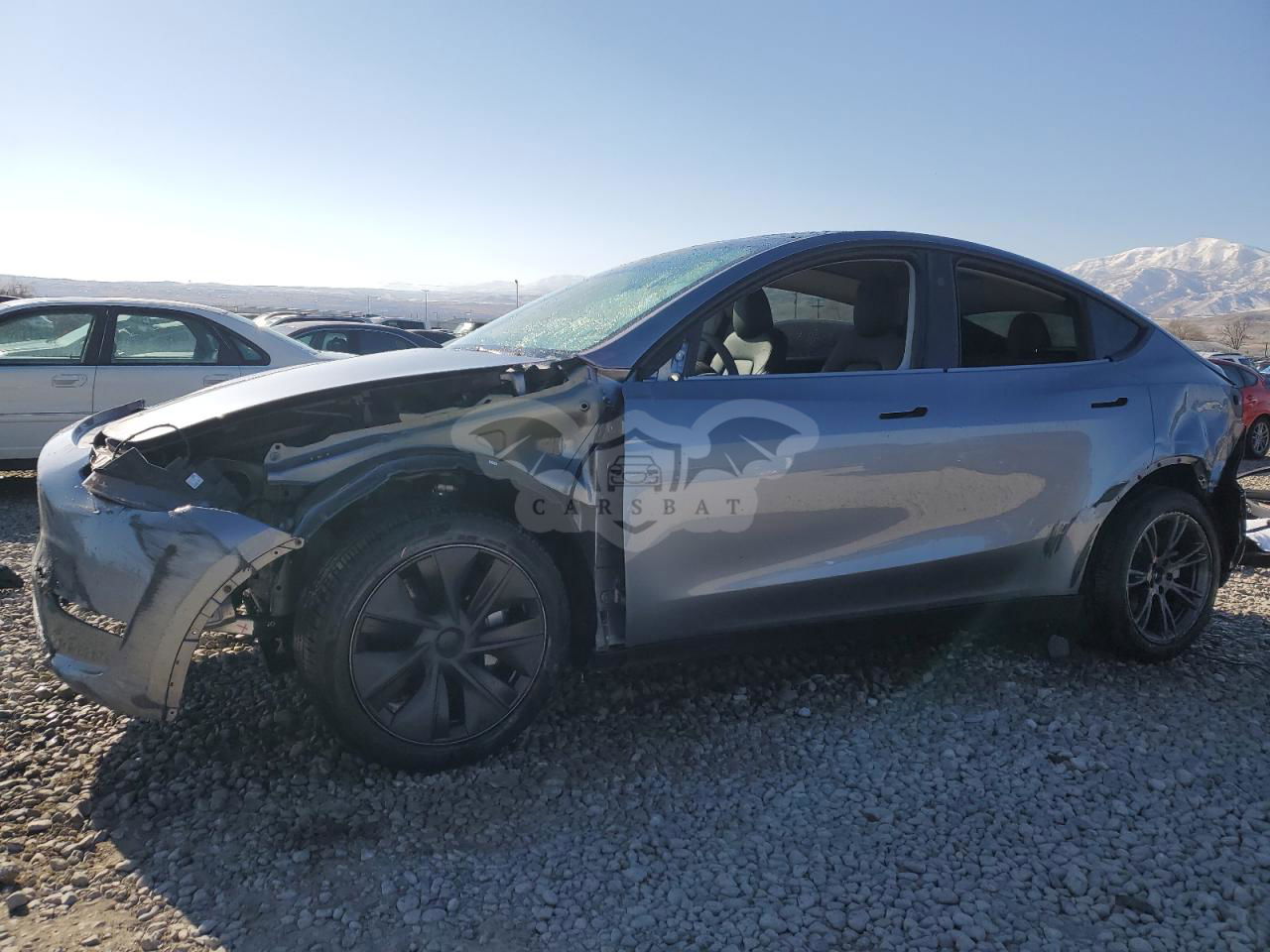 Tesla Model Y 2024