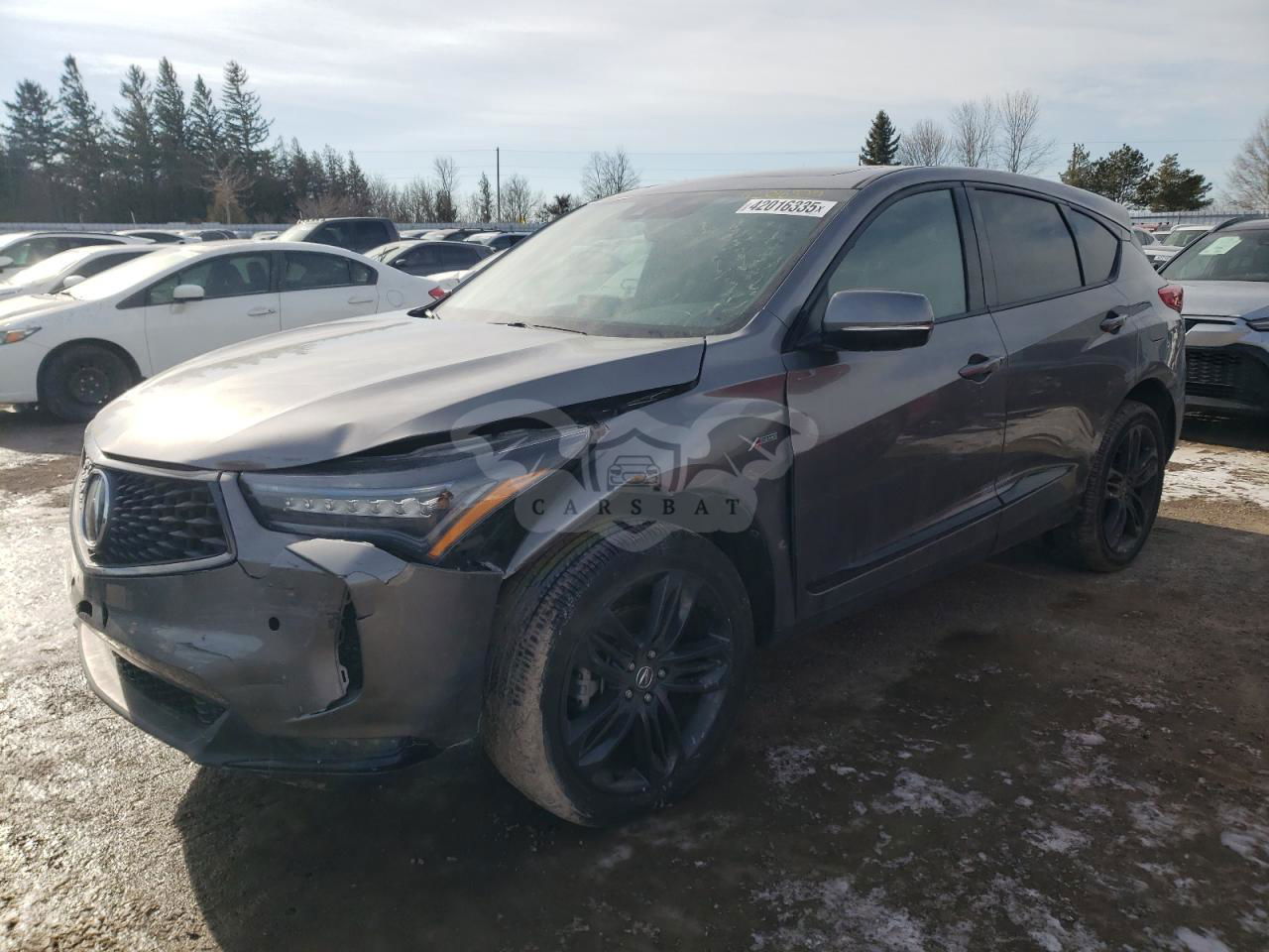 Acura RDX A-SPEC 2.0L  4 2024