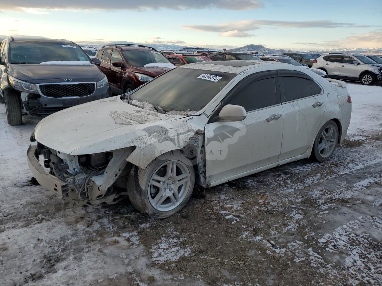 Acura TSX SE 2.4L  4 2013