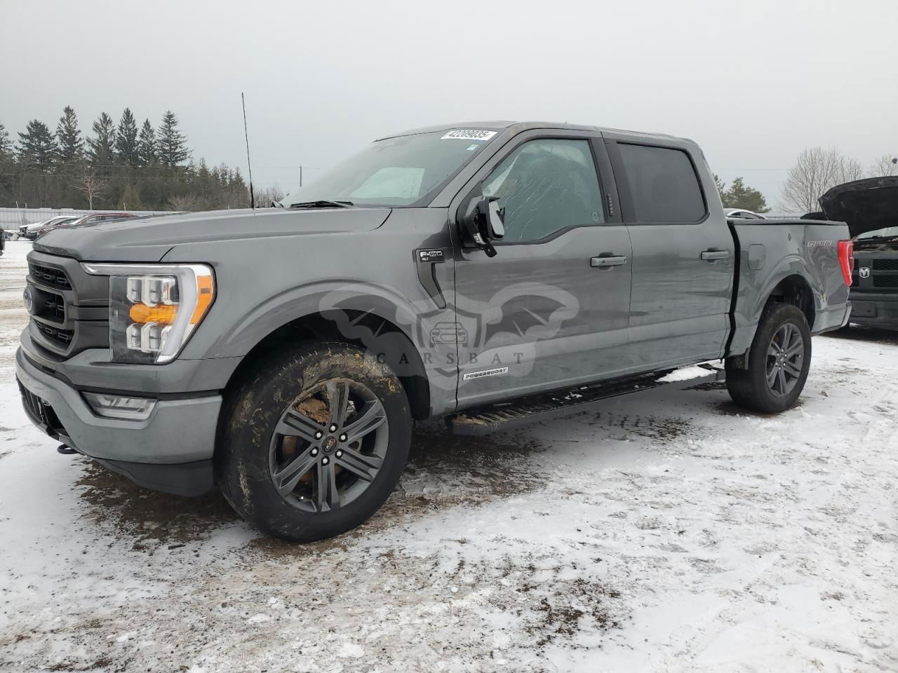Ford F-150 SUPERCREW 3.5L  6 2023
