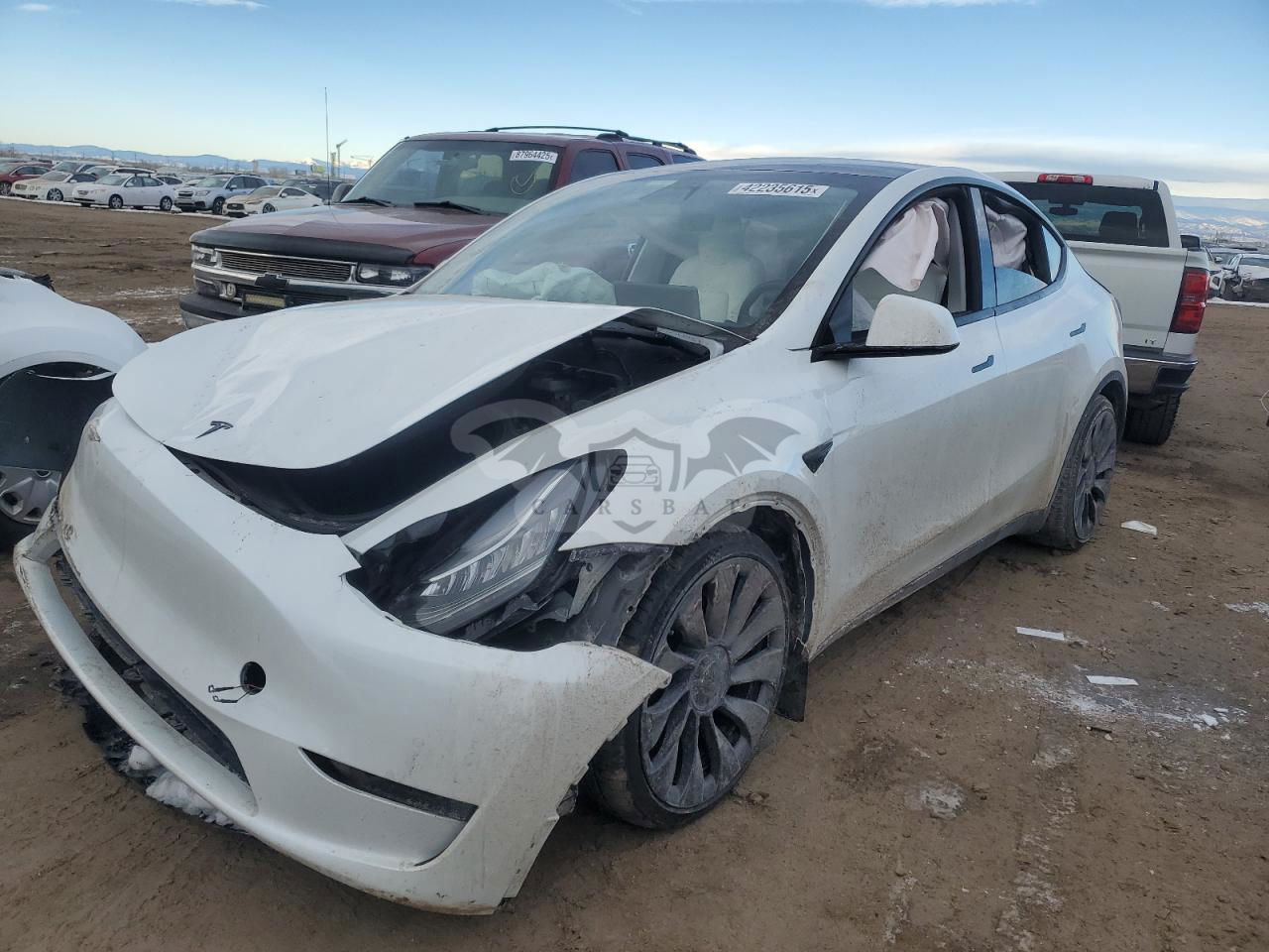 Tesla Model Y 2020