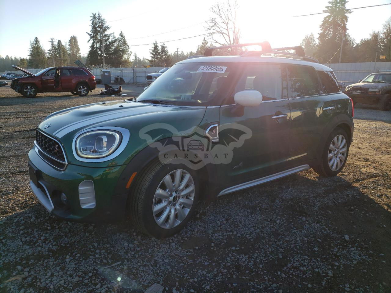 Mini Cooper S COUNTRYMAN ALL4 2.0L  4 2022