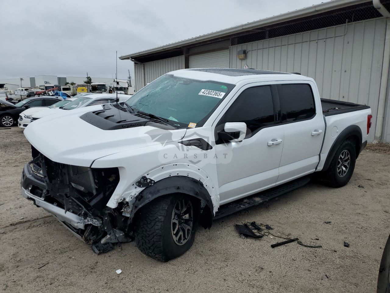 Ford F-150 RAPTOR 3.5L  6 2022