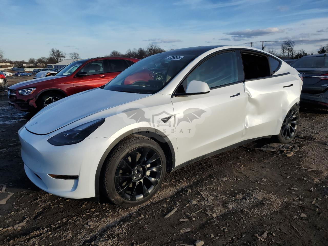 Tesla Model Y 2024