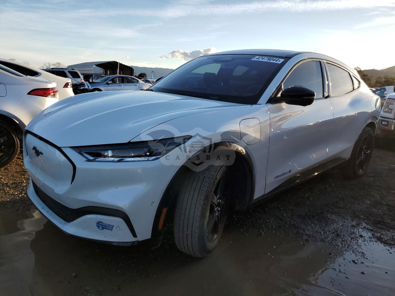 Ford Mustang 2021