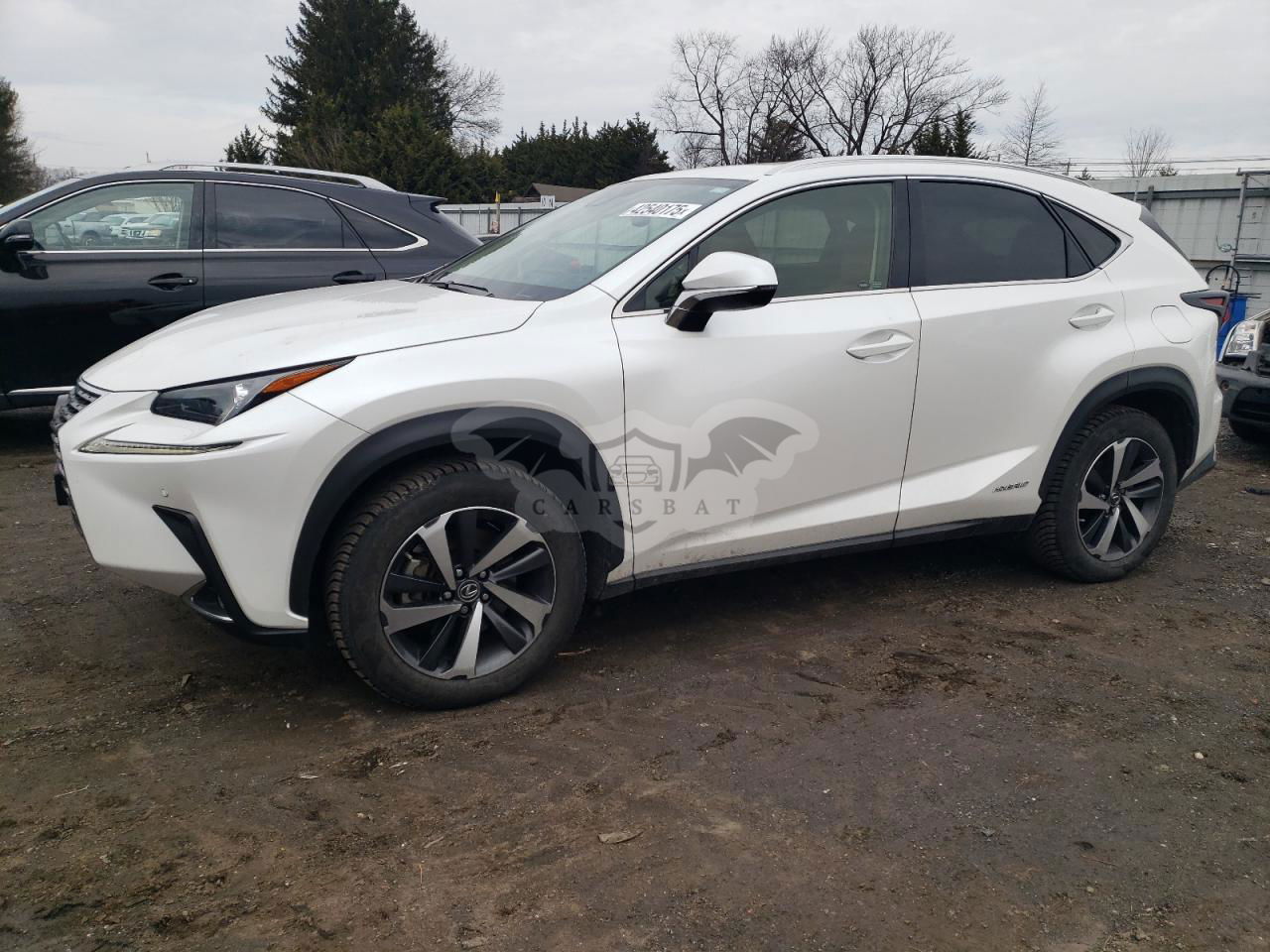 Lexus NX 300H 2.5L  4 2020