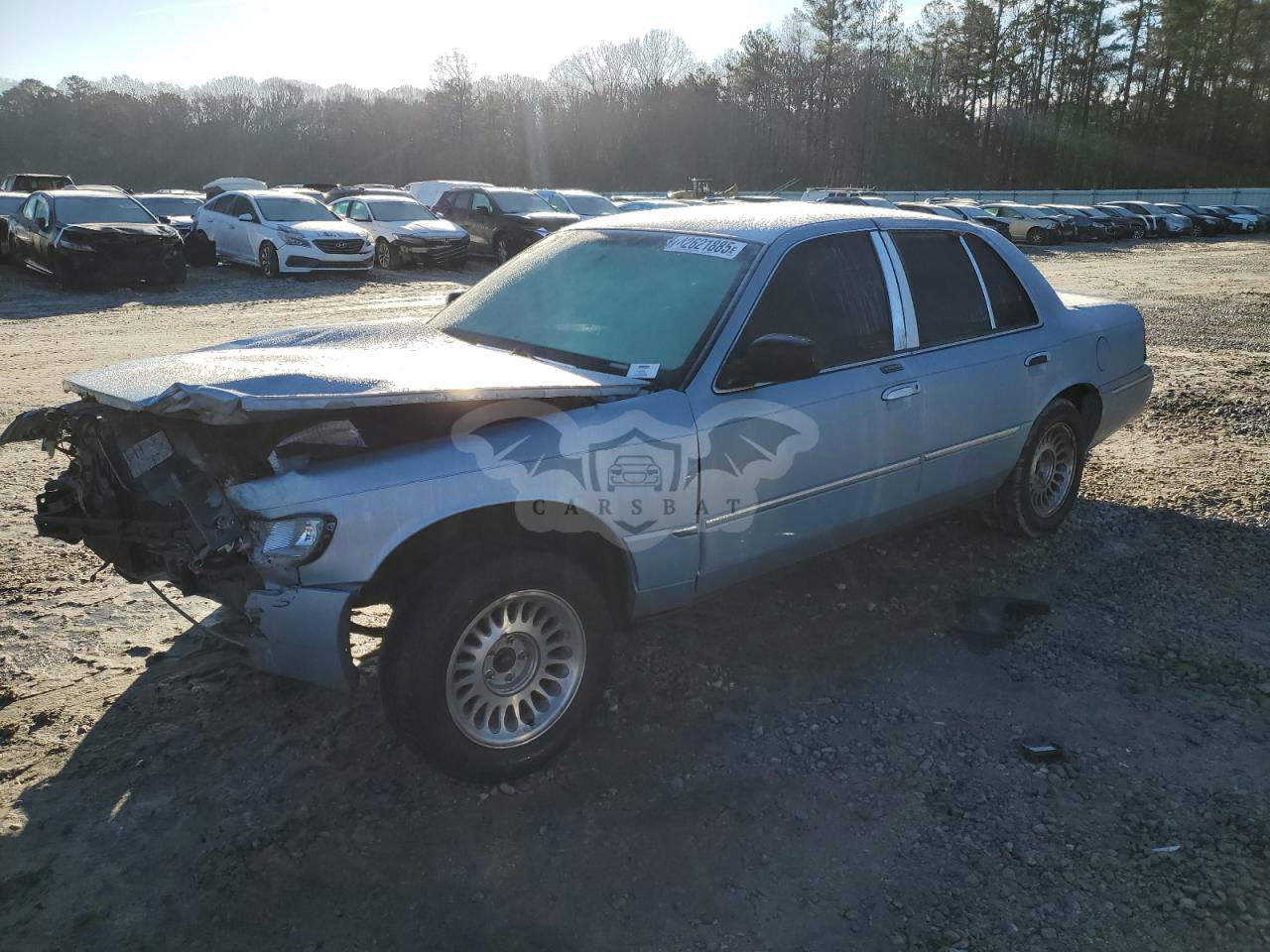Mercury Grand Marquis LS 4.6L  8 2002