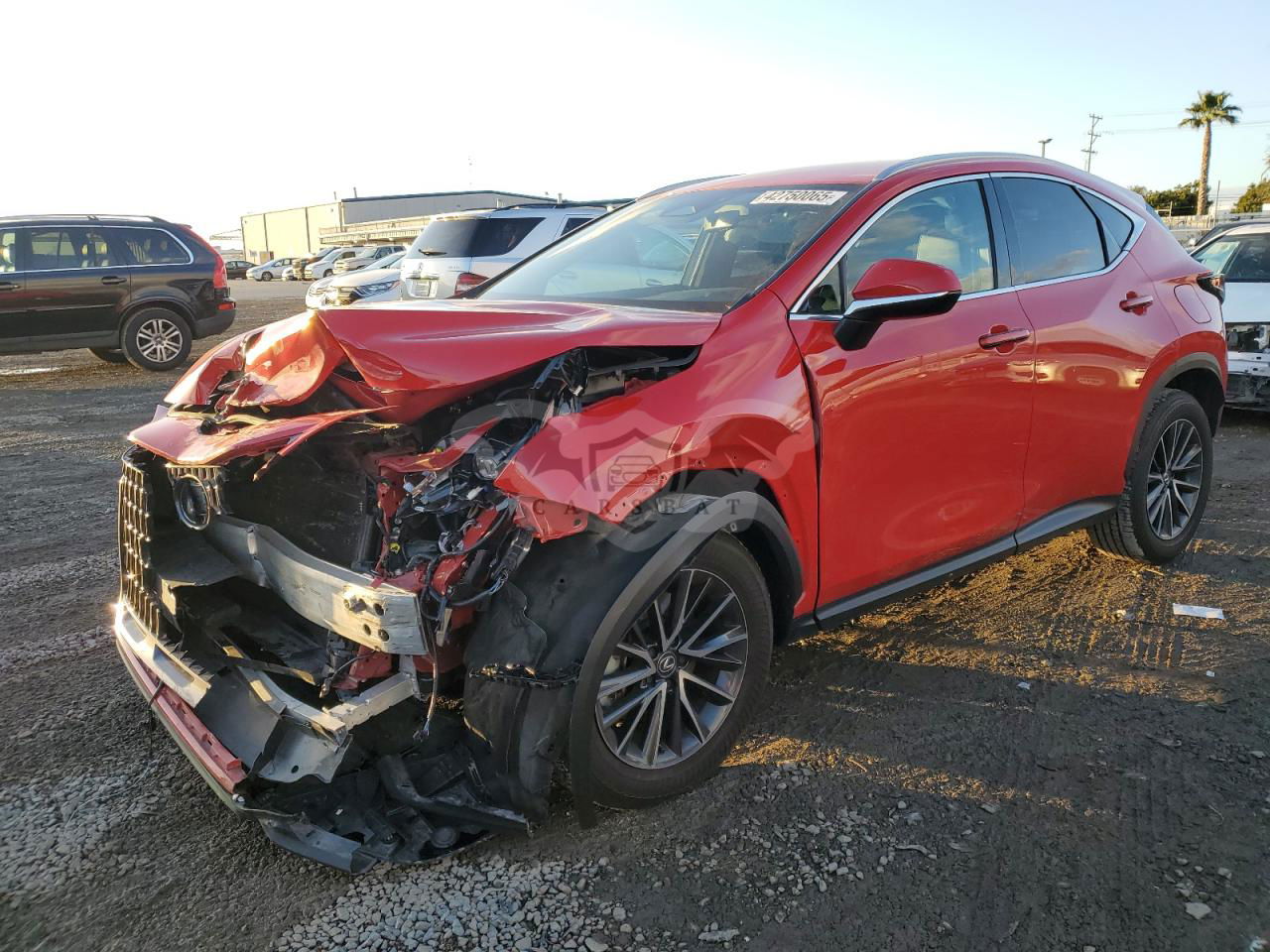 Lexus NX 250 BASE 2.5L  4 2024