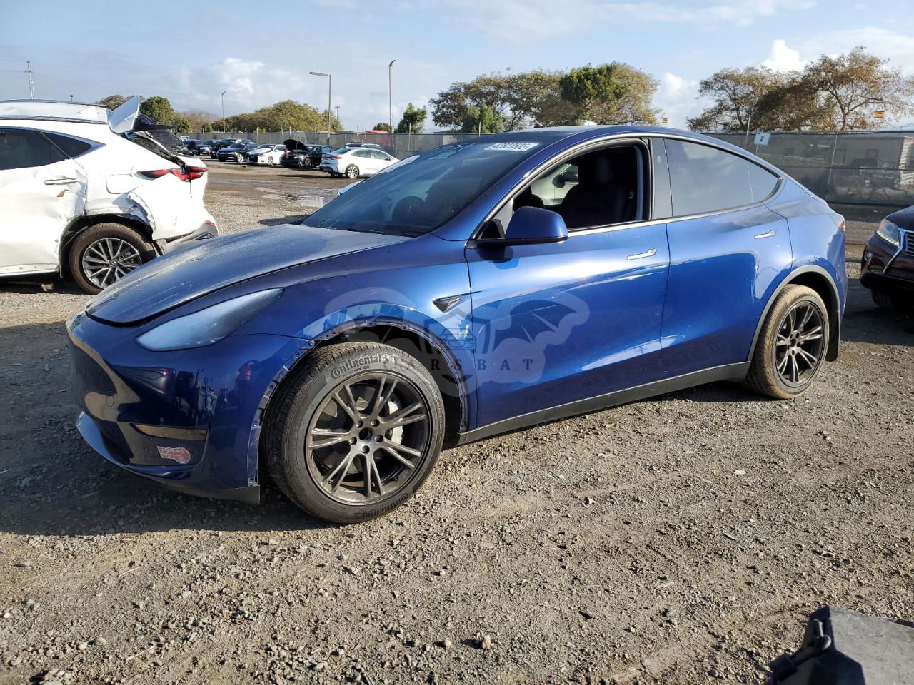 Tesla Model Y 2024