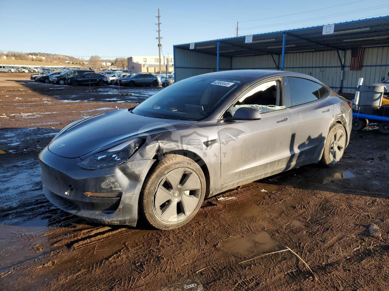Tesla Model 3 2023