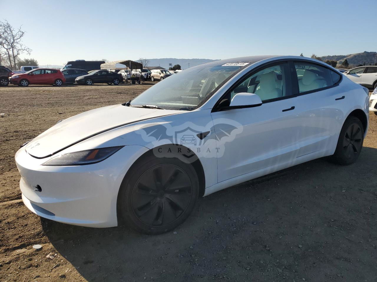 Tesla Model 3 2024