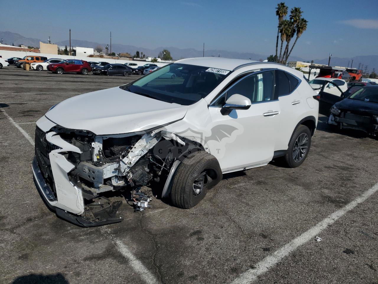 Lexus NX 2.5L  4 2024