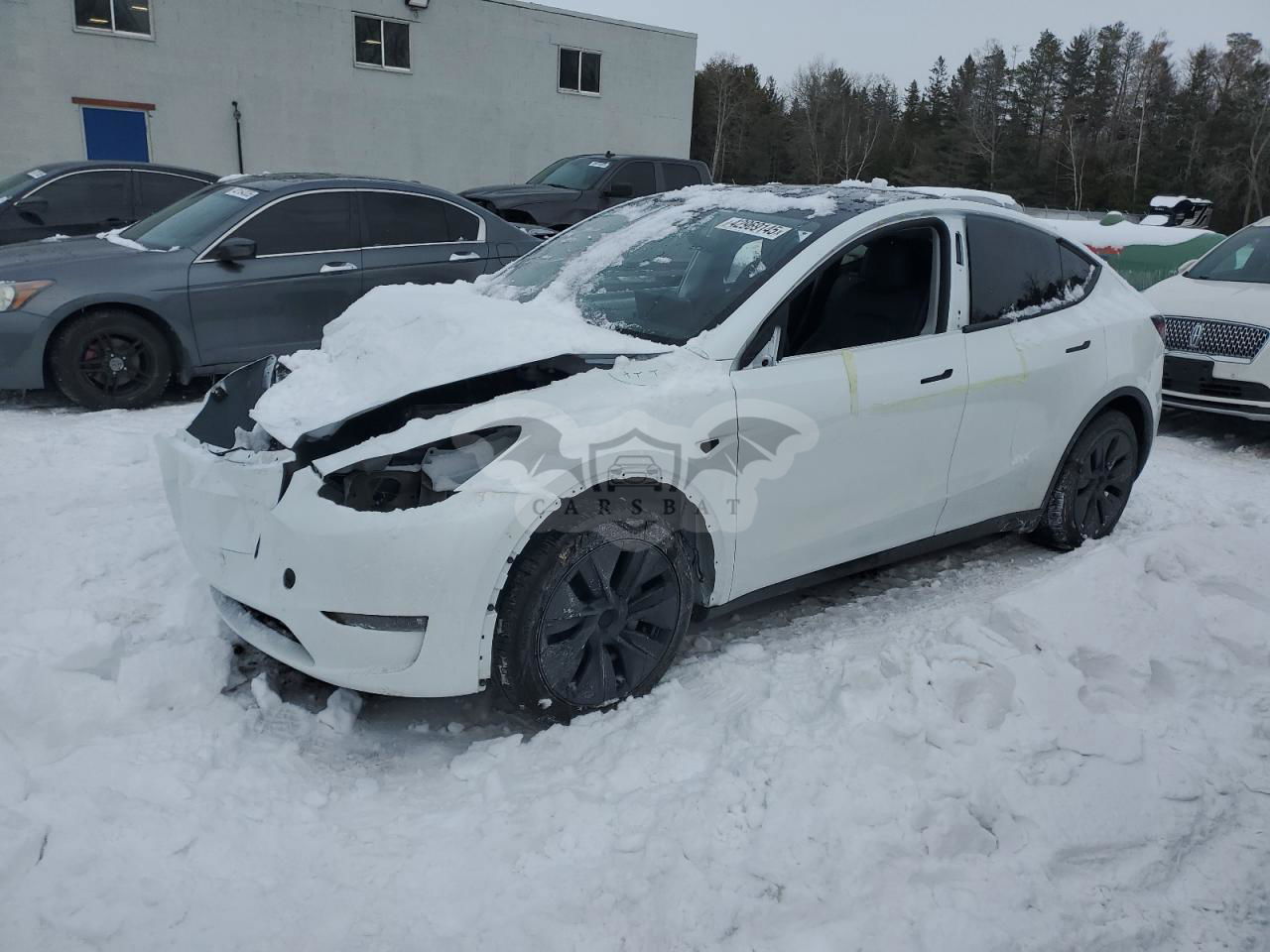Tesla Model Y 2024