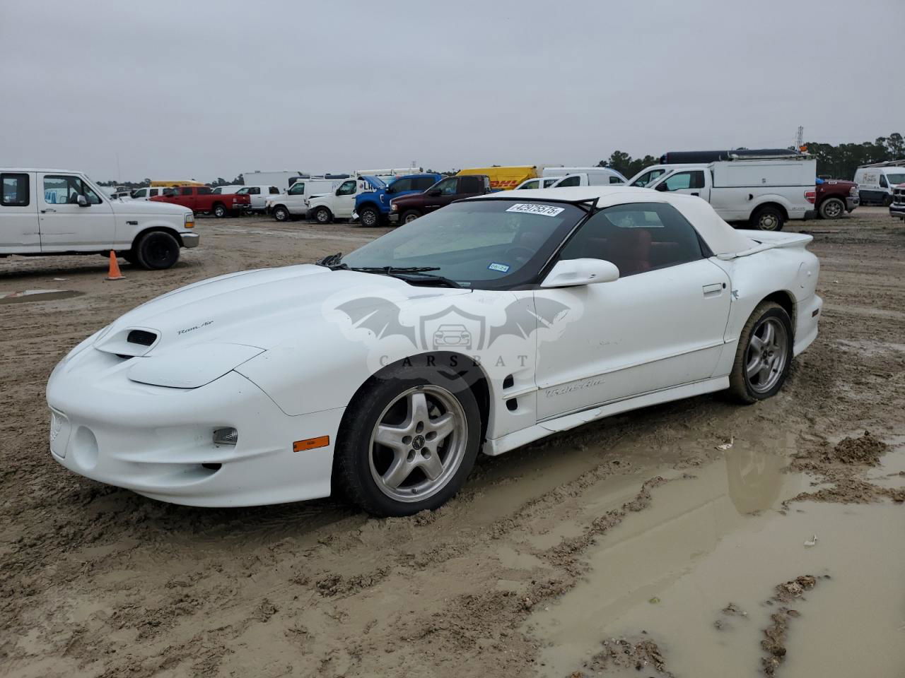 Pontiac Firebird TRANS AM 5.7L  8 2002