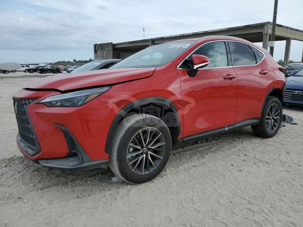 Lexus NX 2024