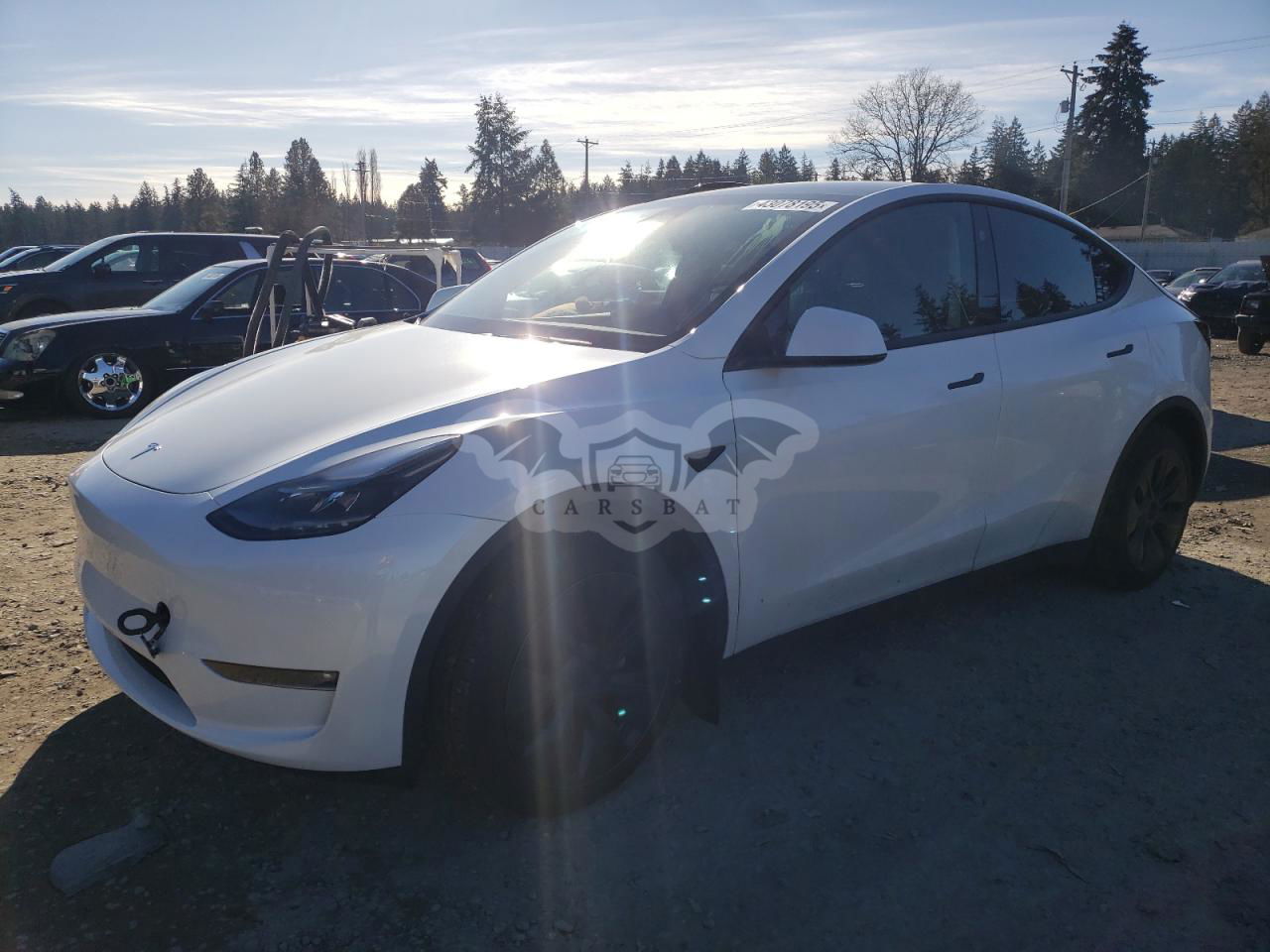 Tesla Model Y 2024