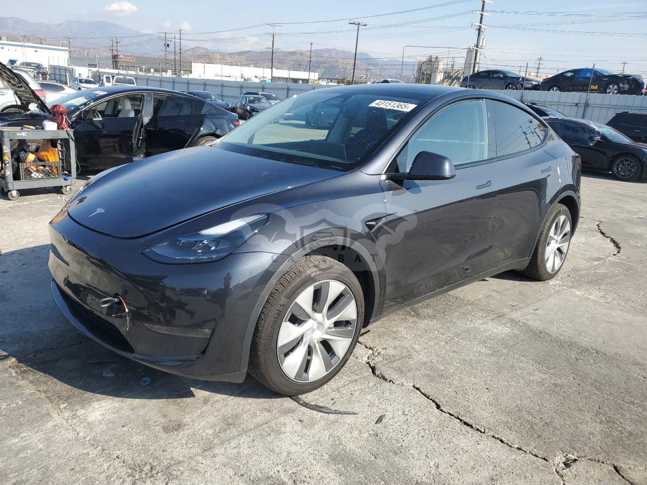Tesla Model Y 2024