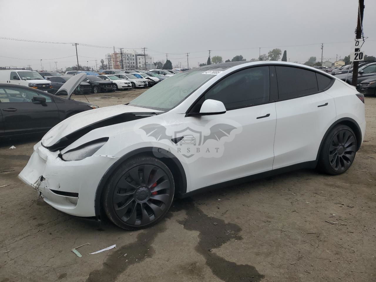 Tesla Model Y 2024