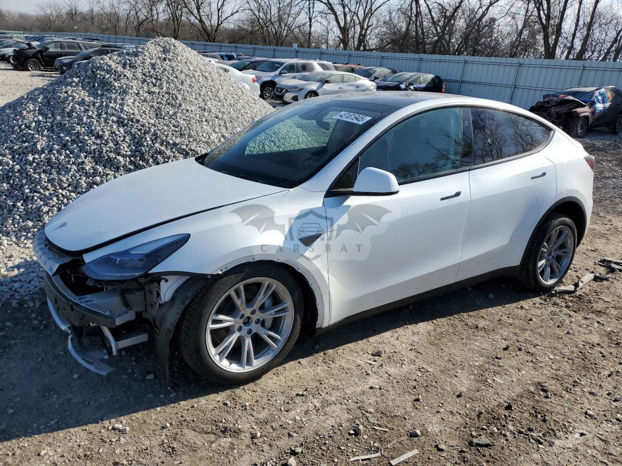 Tesla Model Y 2024