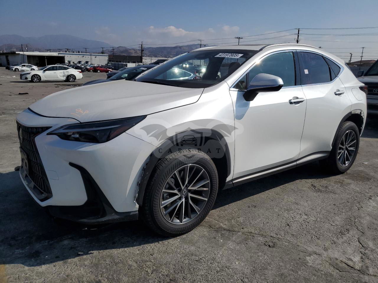 Lexus NX 250 BASE 2.5L  4 2024