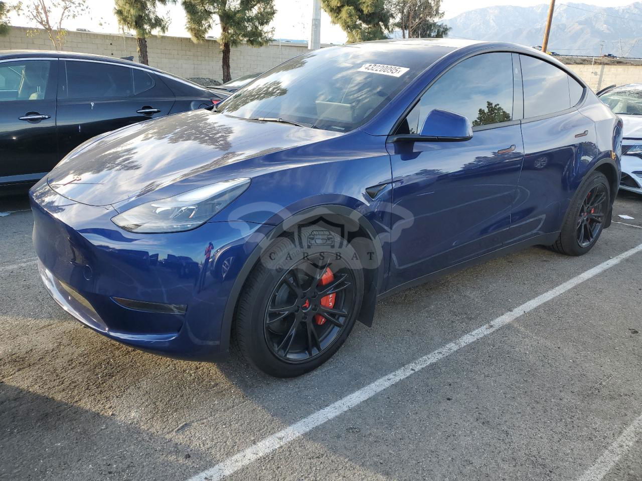 Tesla Model Y 2024
