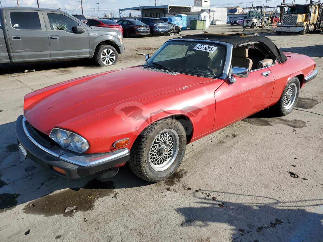 Jaguar XJS 5.3L 12 1989