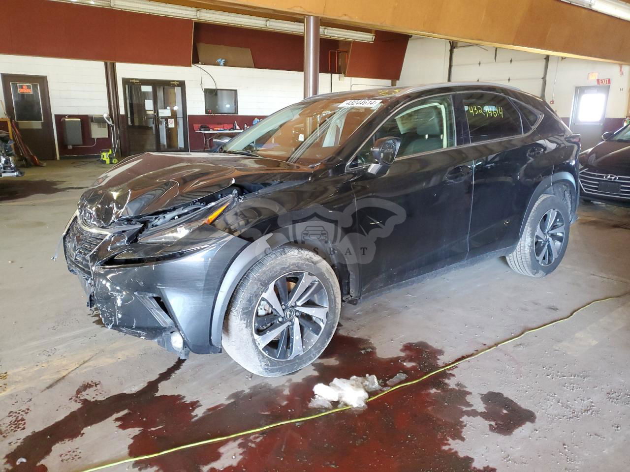 Lexus NX 2020