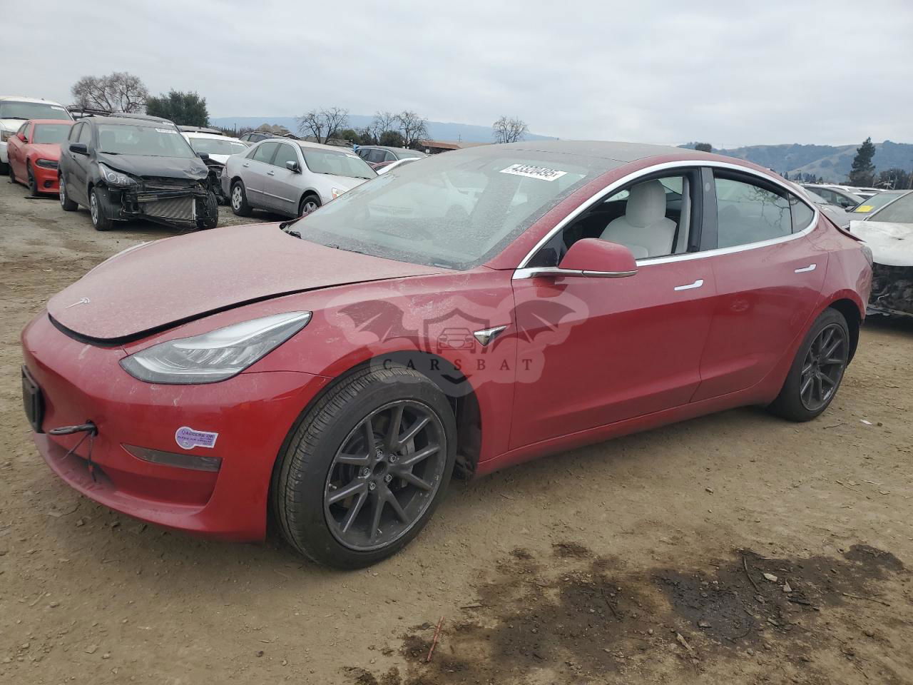 Tesla Model 3 2019