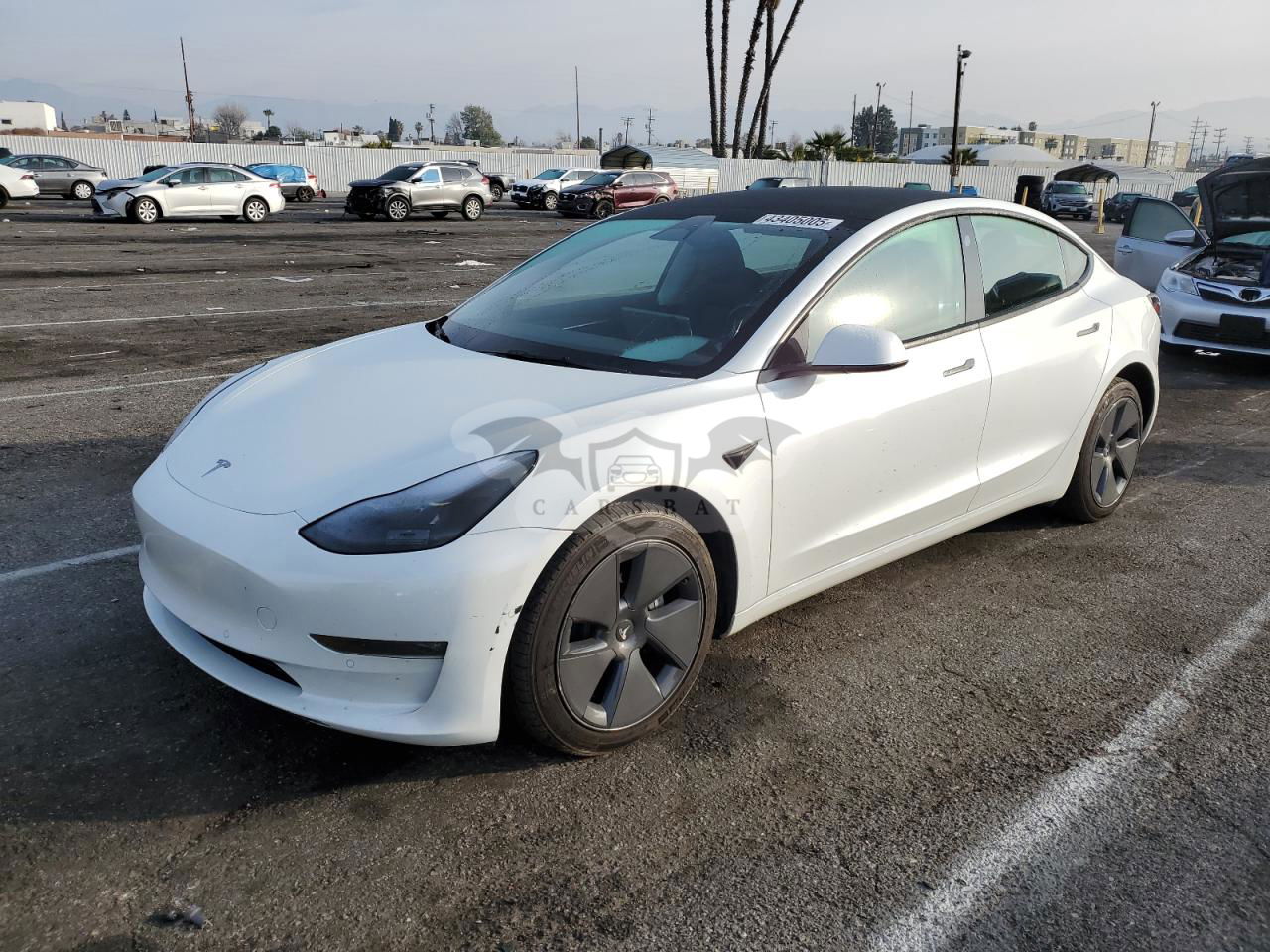 Tesla Model 3 2022