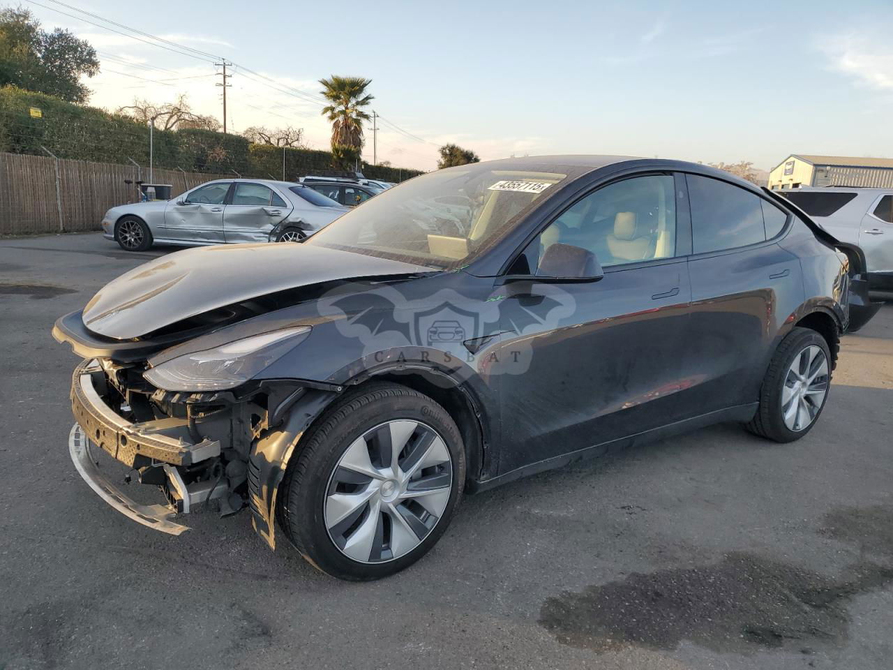 Tesla Model Y 2024
