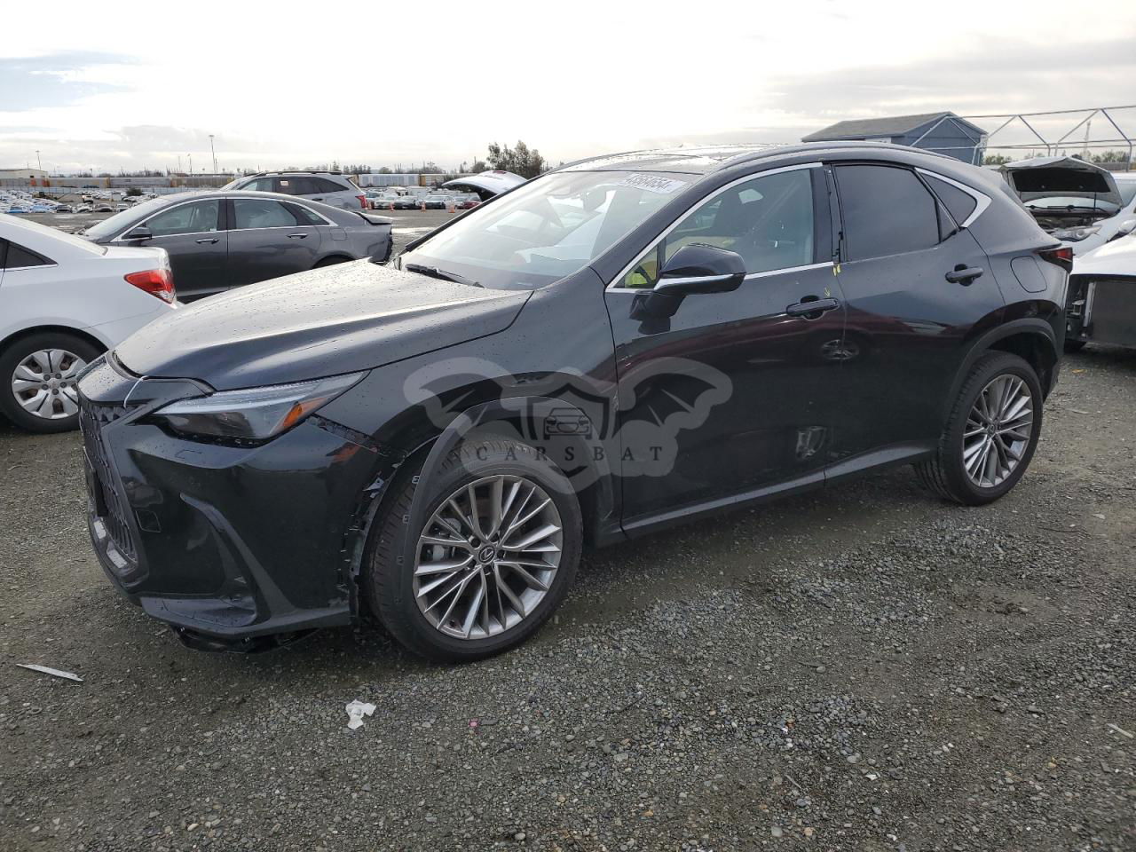 Lexus NX 2024