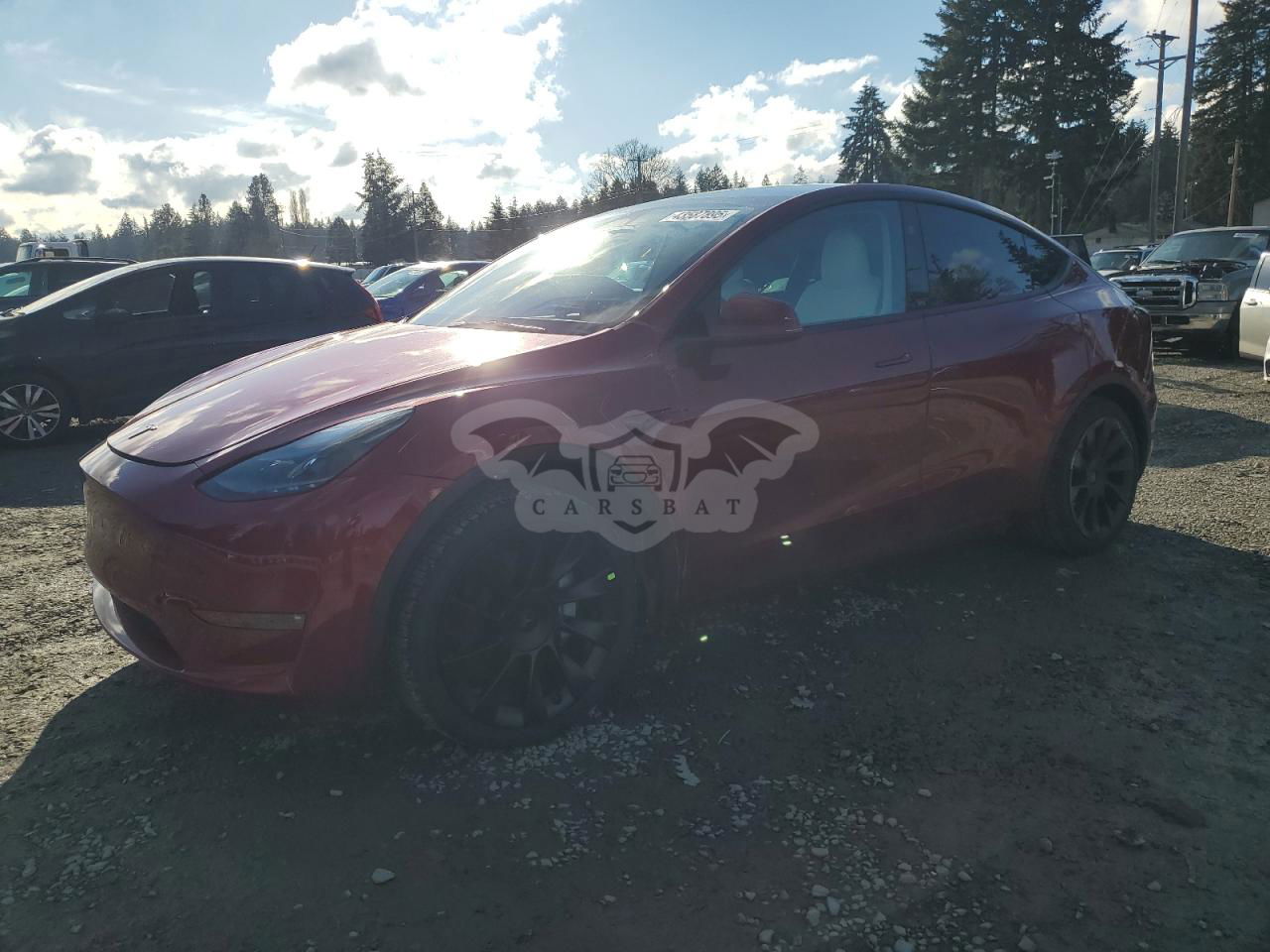 Tesla Model Y 2024