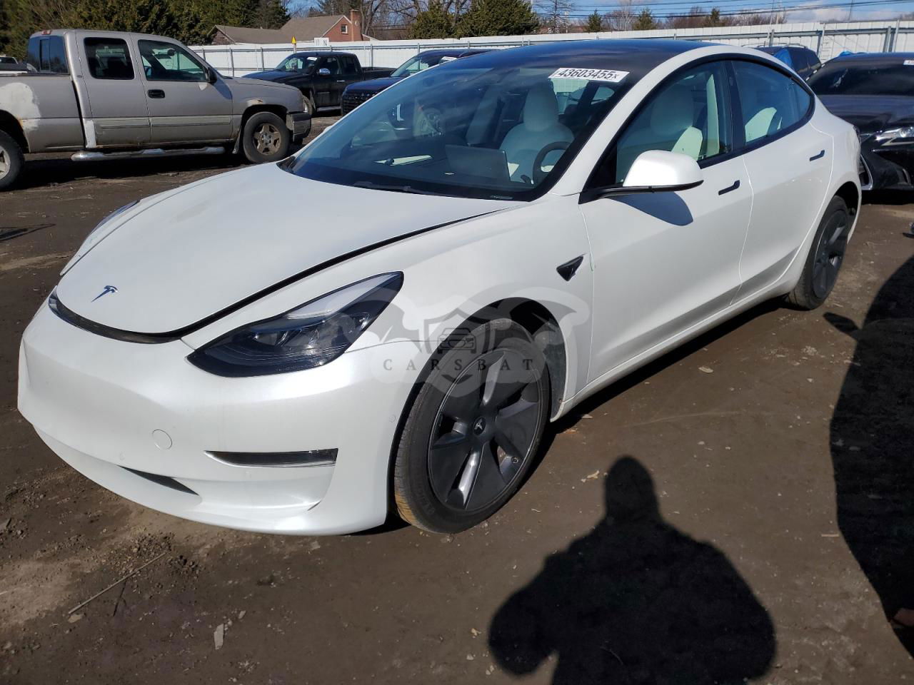 Tesla Model 3 2022