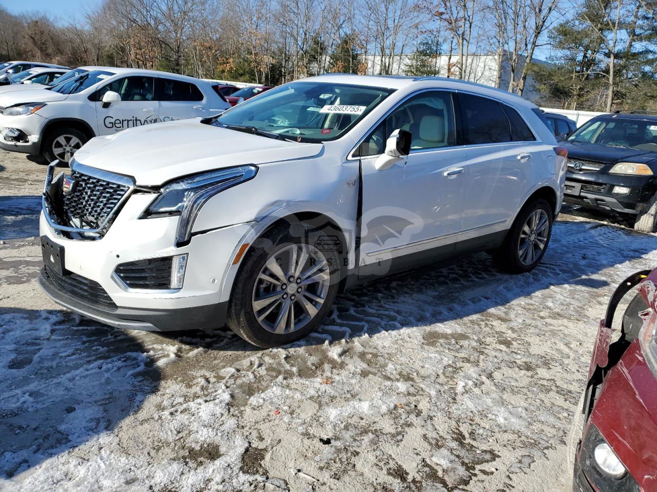 Cadillac XT5 PREMIUM LUXURY 3.6L  6 2025