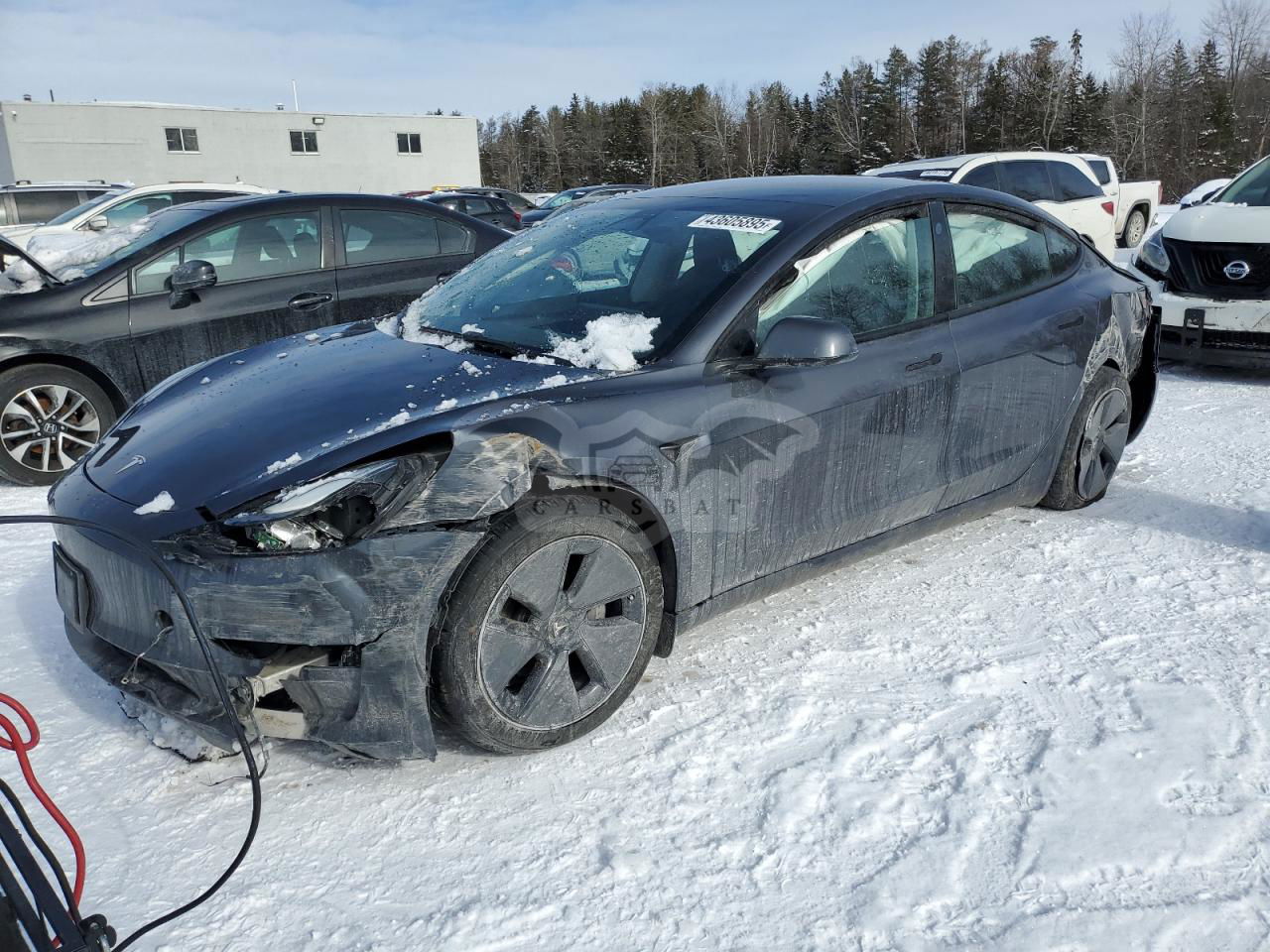Tesla Model 3 2023