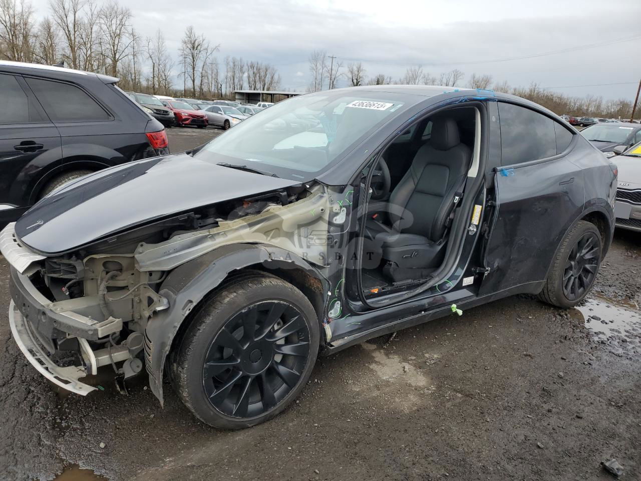 Tesla Model Y 2024