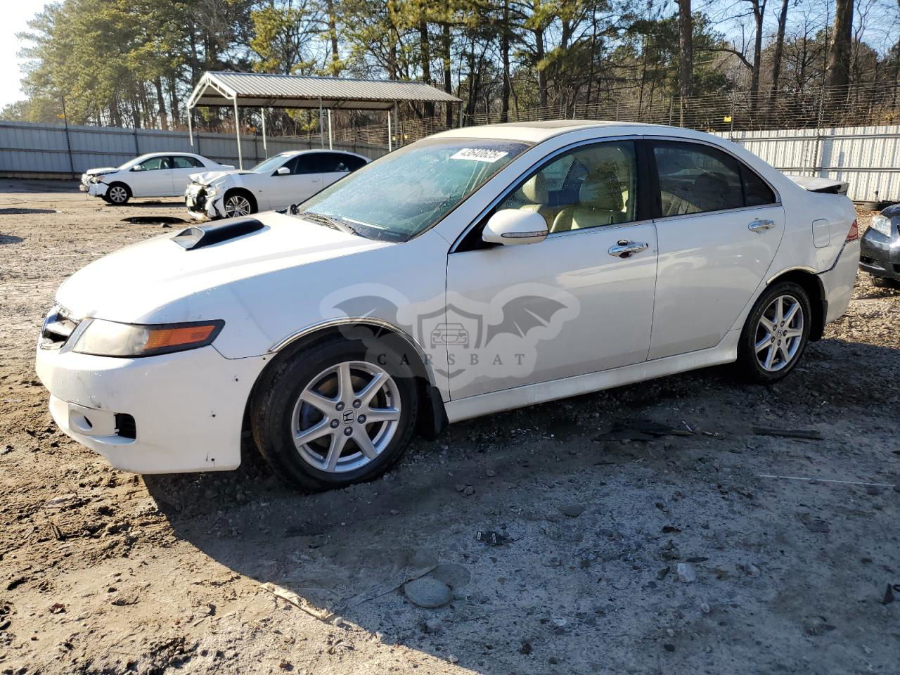 Acura TSX 2.4L  4 2006