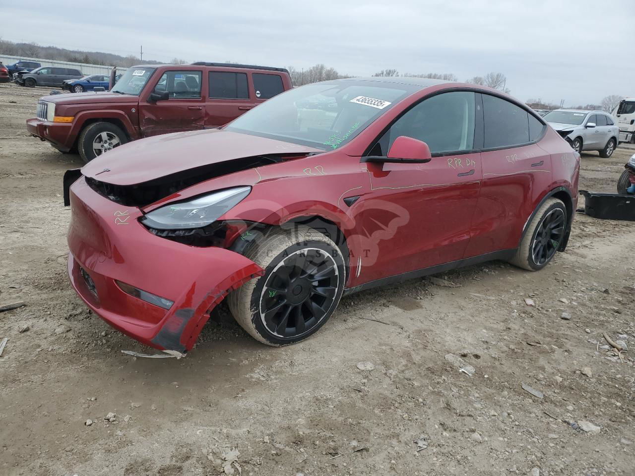 Tesla Model Y 2024